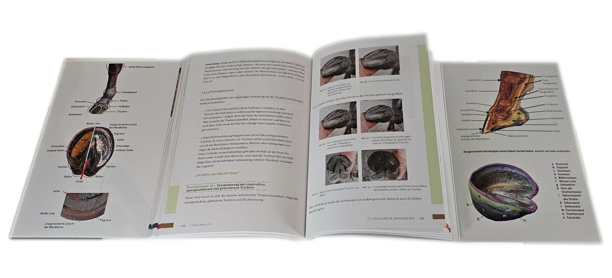 Buch: das HUFWERK Buch: das HUFWERK